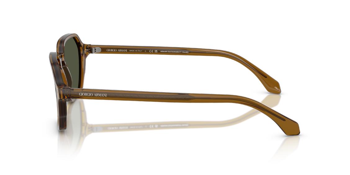 Солнцезащитные очки Giorgio Armani AR8220 617231