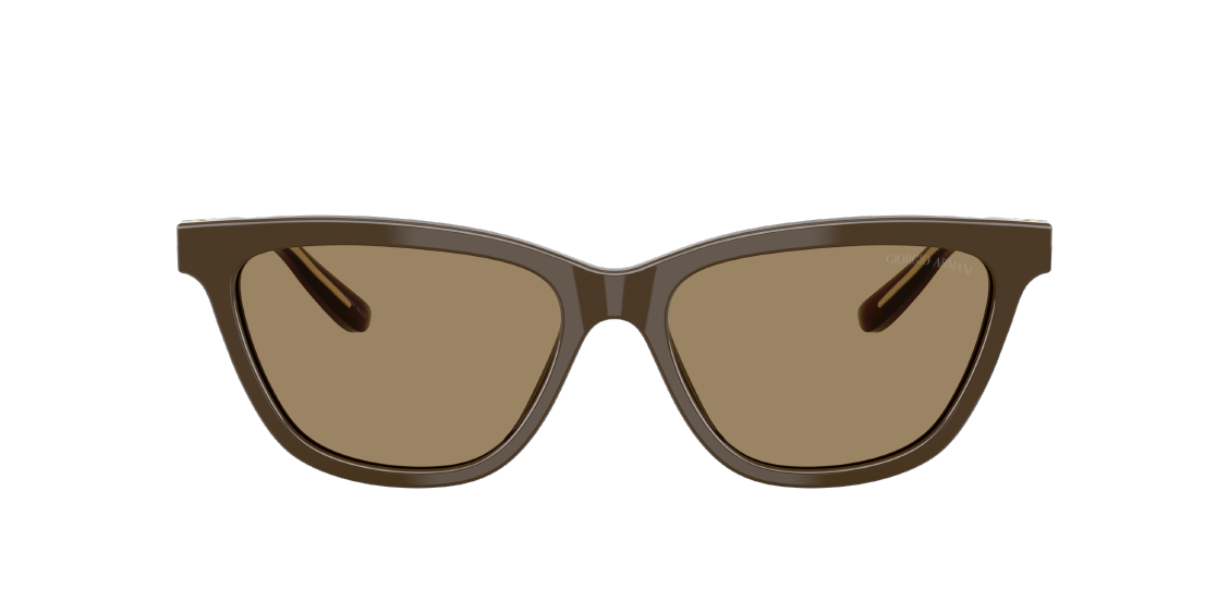 Солнцезащитные очки Giorgio Armani AR8221 595753