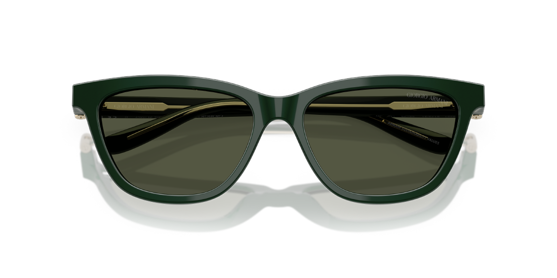 Солнцезащитные очки Giorgio Armani AR8221 617331