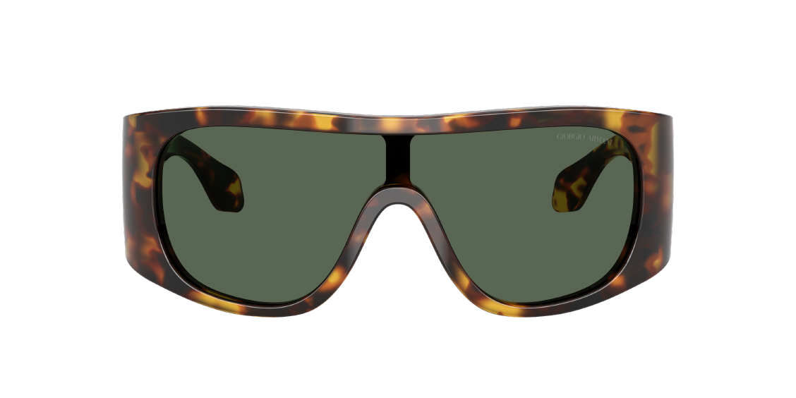 Солнцезащитные очки Giorgio Armani AR8222U 509271