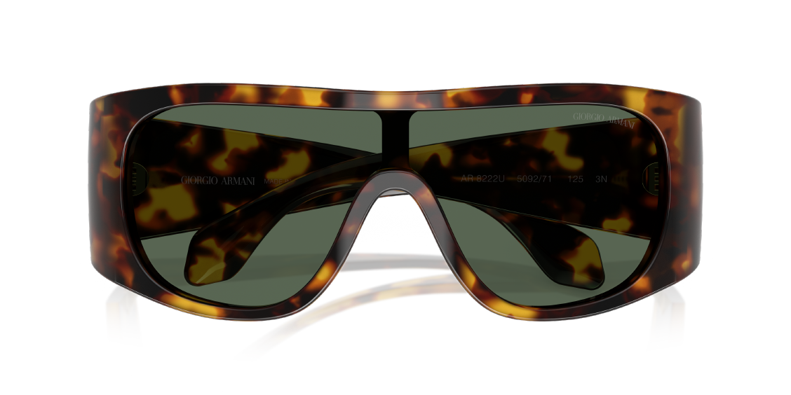 Солнцезащитные очки Giorgio Armani AR8222U 509271