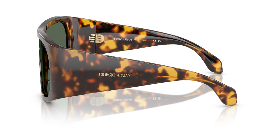 Солнцезащитные очки Giorgio Armani AR8222U 509271