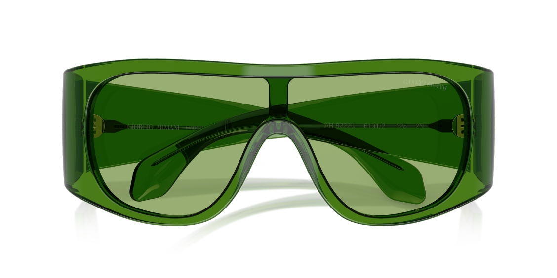 Солнцезащитные очки Giorgio Armani AR8222U 6191/2