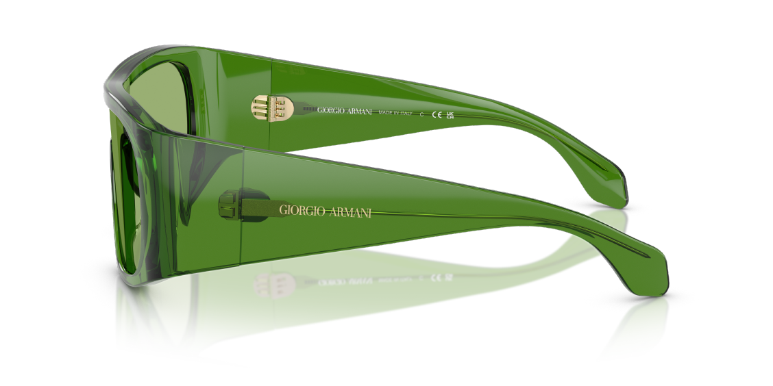 Солнцезащитные очки Giorgio Armani AR8222U 6191/2