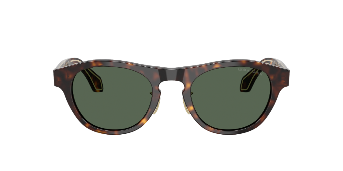 Солнцезащитные очки Giorgio Armani AR8225 502671