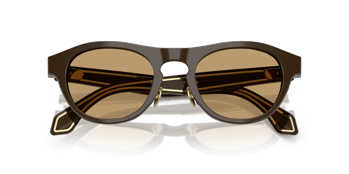 Солнцезащитные очки Giorgio Armani AR8225 619473