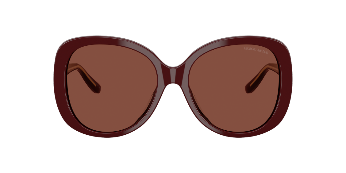 Солнцезащитные очки Giorgio Armani AR8229U 5955C5