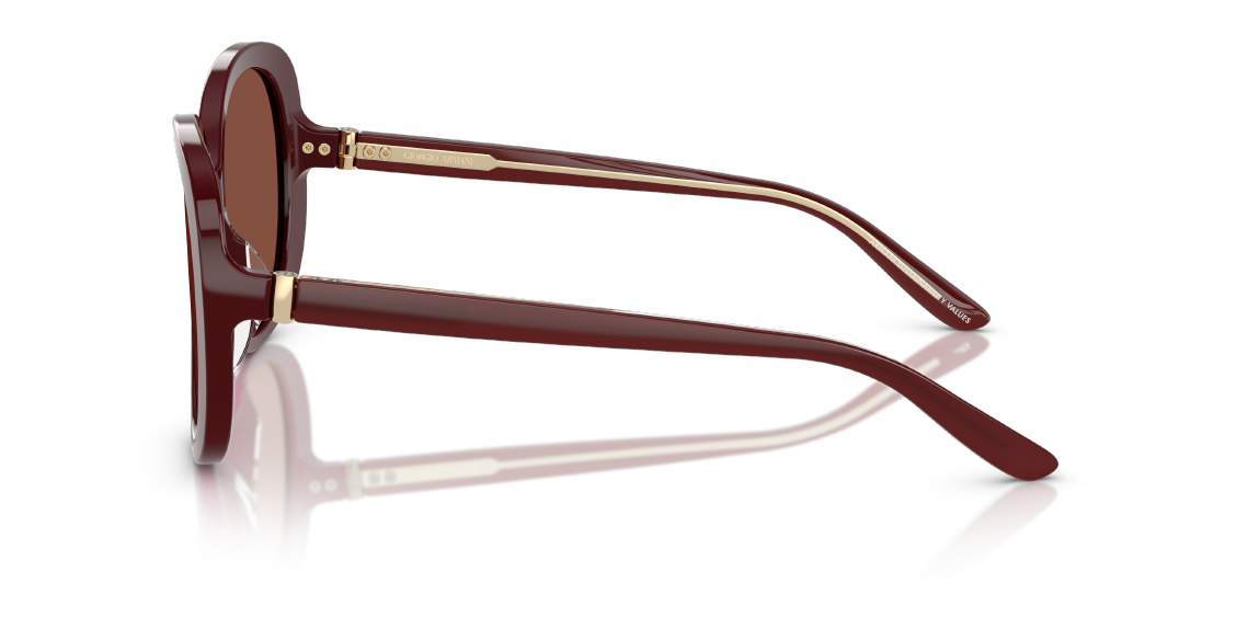 Солнцезащитные очки Giorgio Armani AR8229U 5955C5