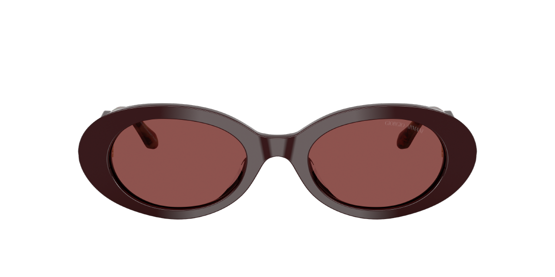 Солнцезащитные очки Giorgio Armani AR8234U 622875