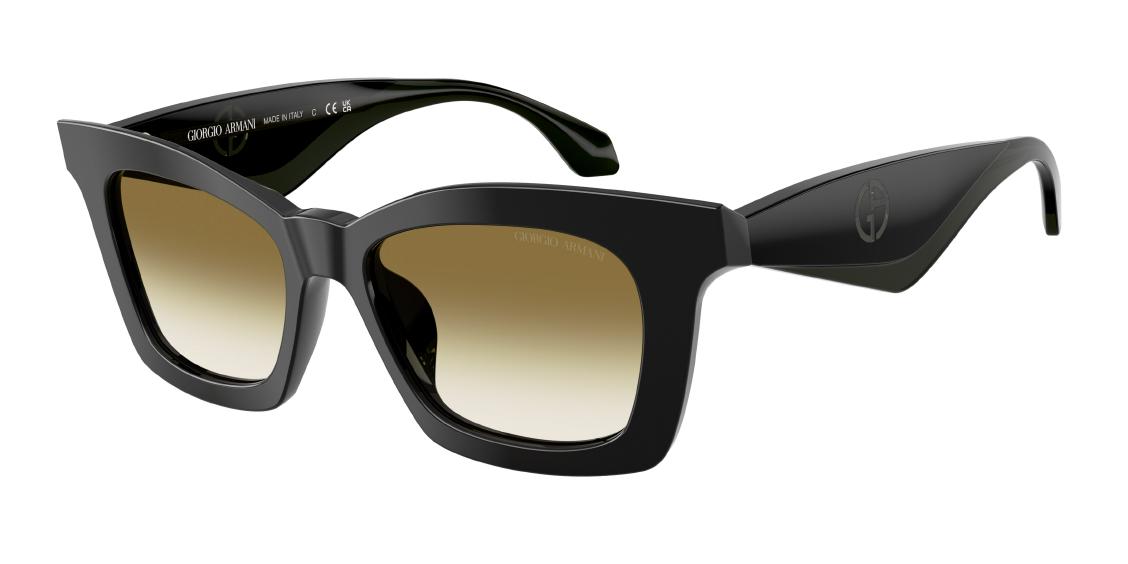 Солнцезащитные очки Giorgio Armani AR8235U 50018E