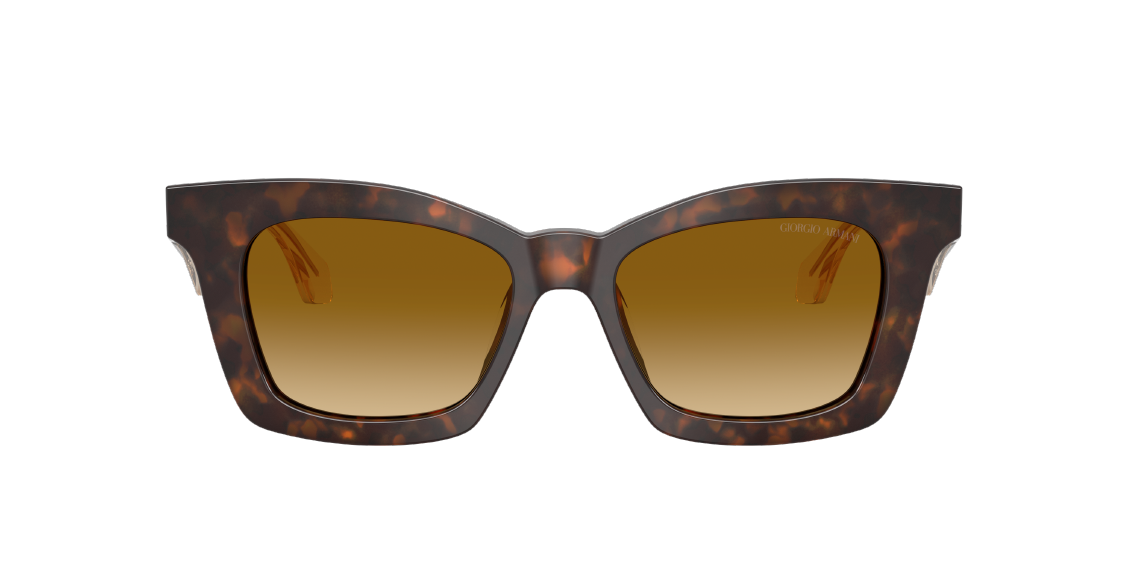 Солнцезащитные очки Giorgio Armani AR8235U 62312L