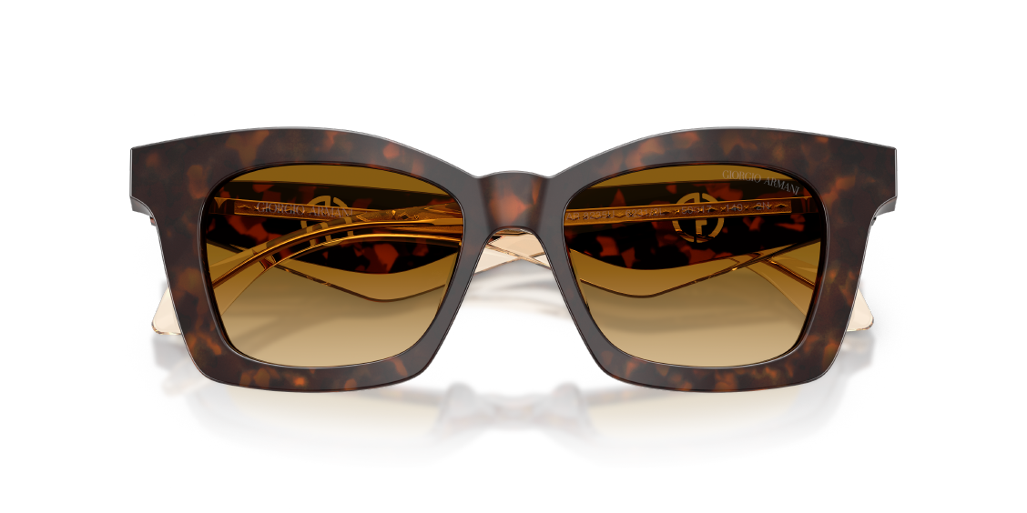 Солнцезащитные очки Giorgio Armani AR8235U 62312L