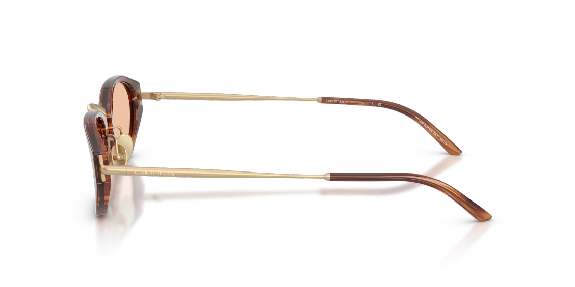 Солнцезащитные очки Giorgio Armani AR8242 616273