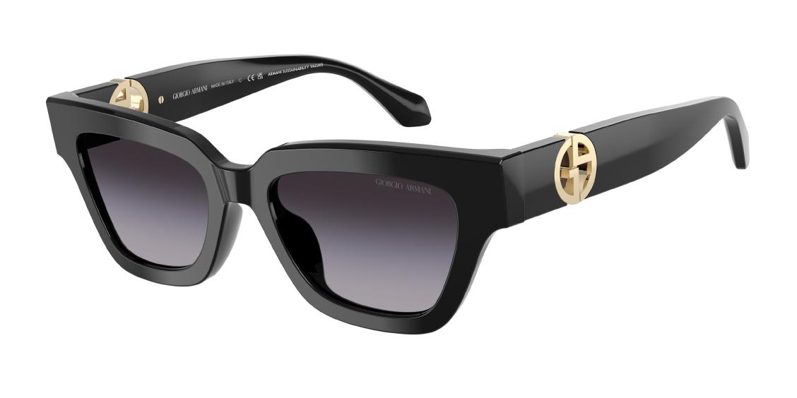 Солнцезащитные очки Giorgio Armani AR8246U 58758G
