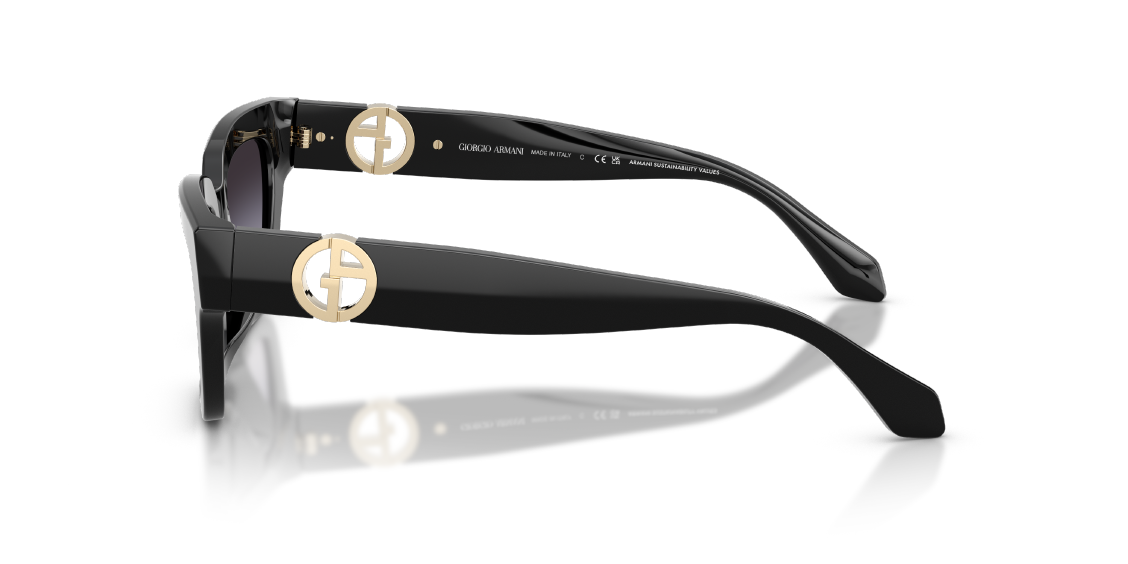 Солнцезащитные очки Giorgio Armani AR8246U 58758G