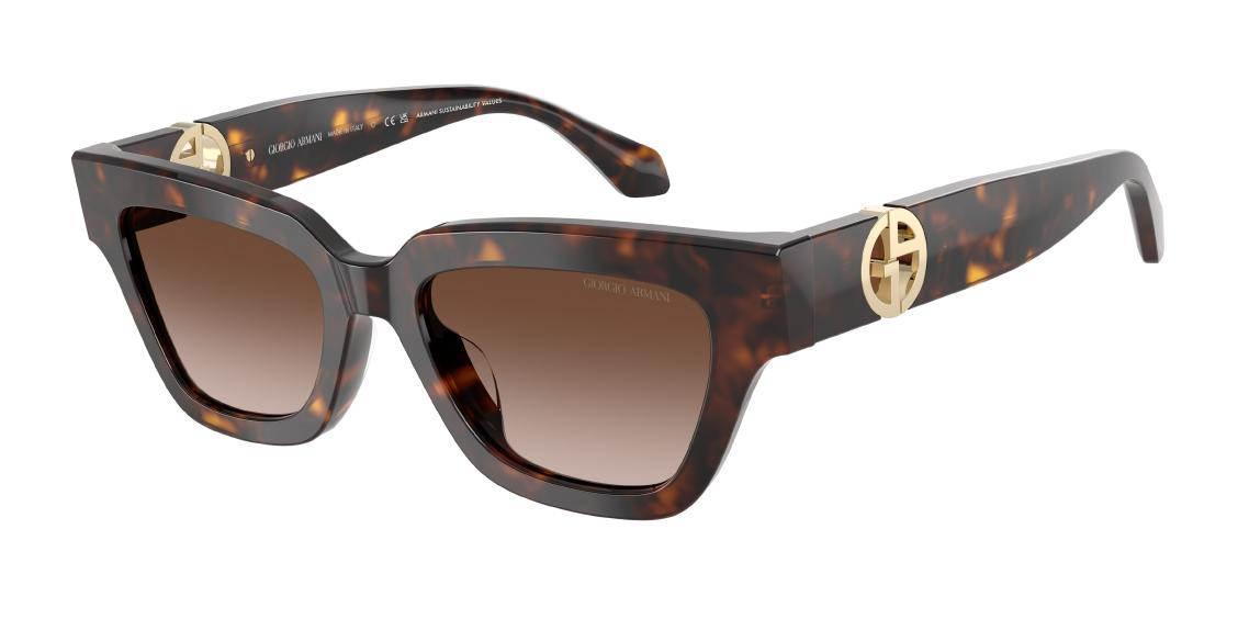 Солнцезащитные очки Giorgio Armani AR8246U 587913