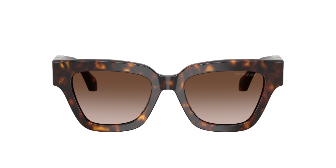 Солнцезащитные очки Giorgio Armani AR8246U 587913