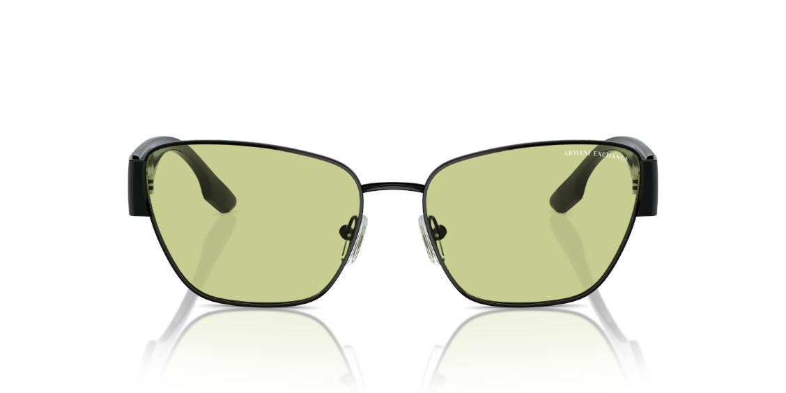 Солнцезащитные очки Armani Exchange AX2051S 6000/2