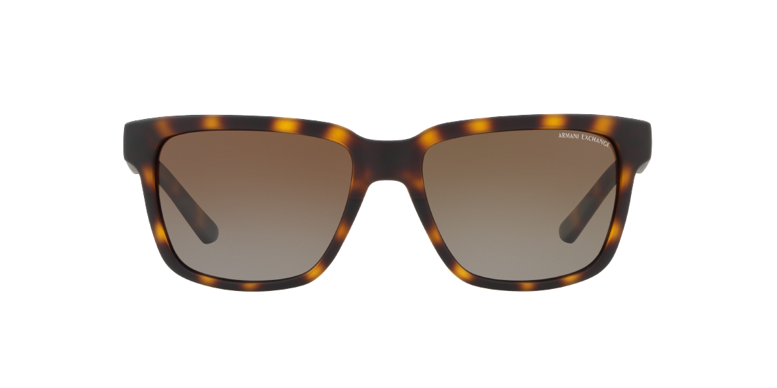 Солнцезащитные очки Armani Exchange AX4026S 8029T5