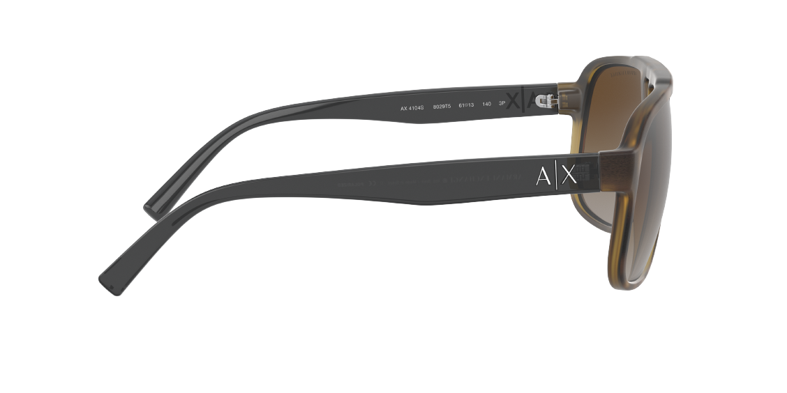 Солнцезащитные очки Armani Exchange AX4104S 8029T5