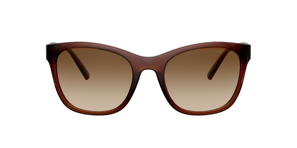 Солнцезащитные очки Armani Exchange AX4105S 821313