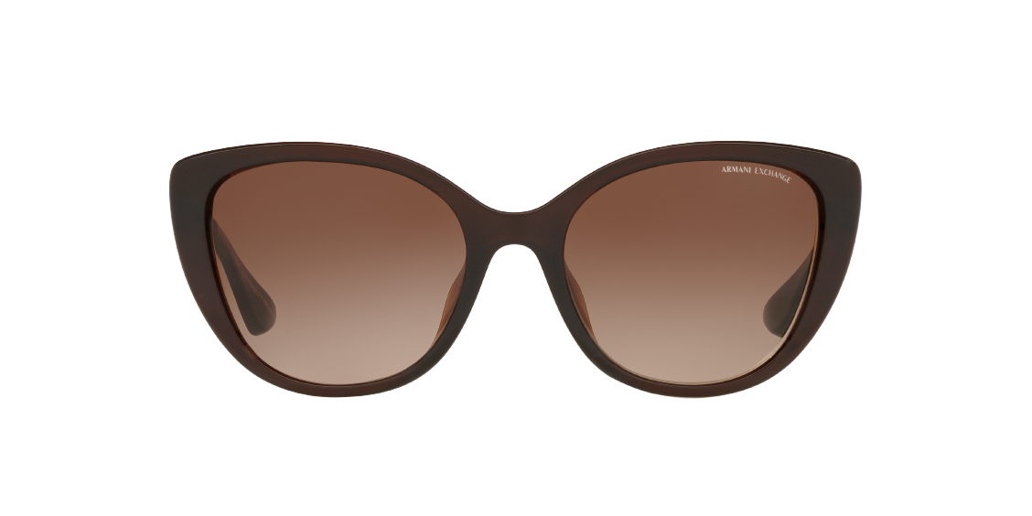 Солнцезащитные очки Armani Exchange AX4111SU 806313