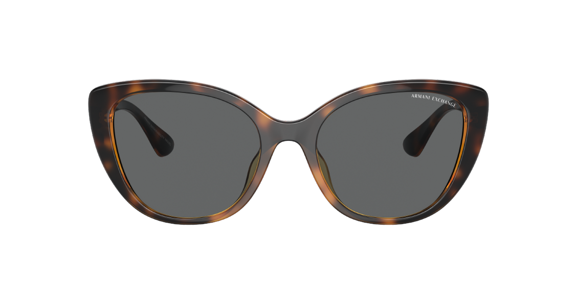 Солнцезащитные очки Armani Exchange AX4111SU 821387