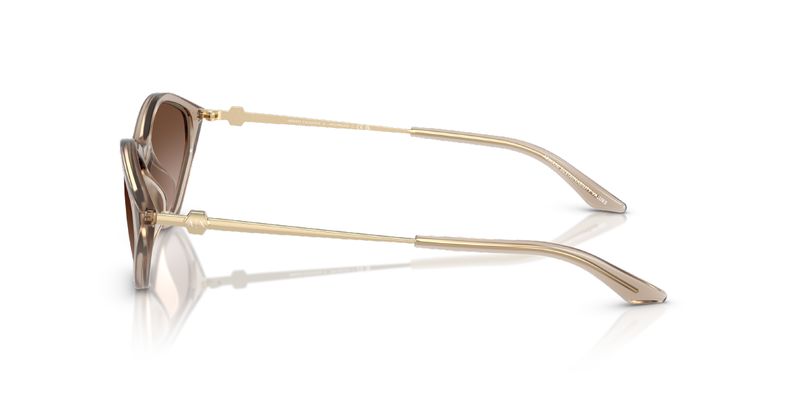 Солнцезащитные очки Armani Exchange AX4152SU 836613