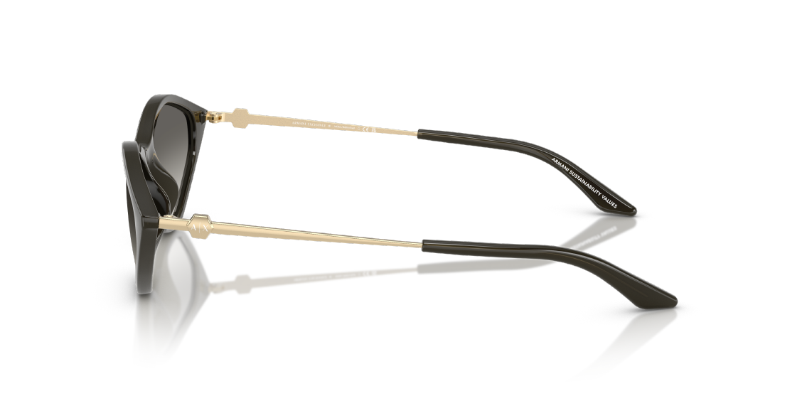 Солнцезащитные очки Armani Exchange AX4152SU 836711