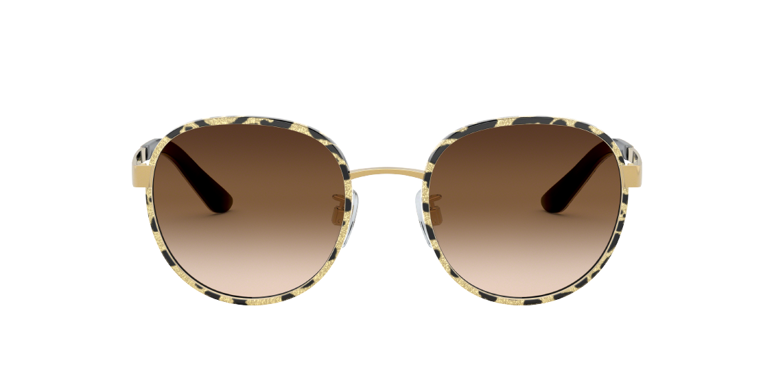 Солнцезащитные очки Dolce & Gabbana DG2227J 02/13