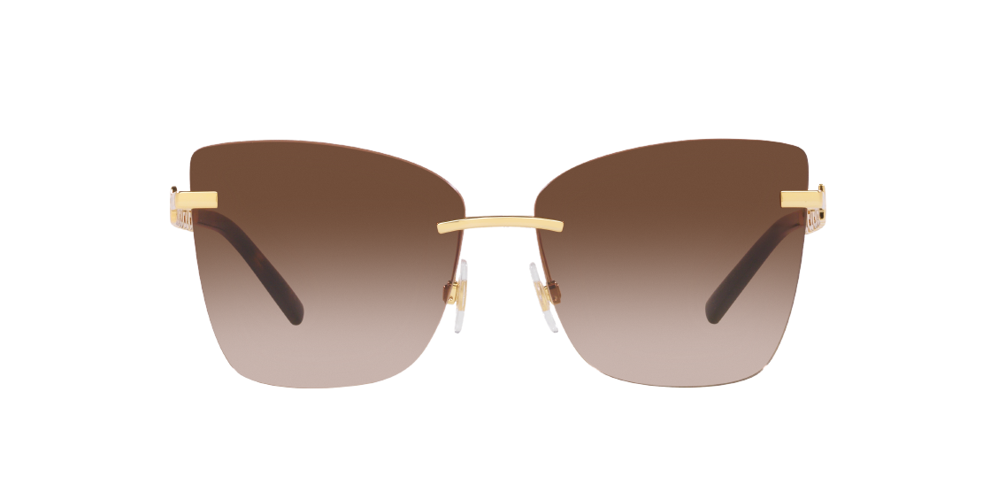 Солнцезащитные очки Dolce & Gabbana DG2289 02/13