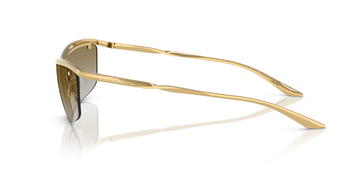 Солнцезащитные очки Dolce & Gabbana DG2307 02/6E