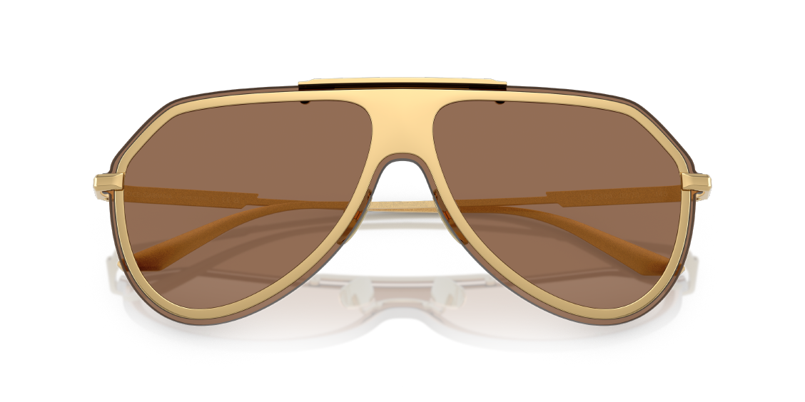 Солнцезащитные очки Dolce & Gabbana DG2309 02/73