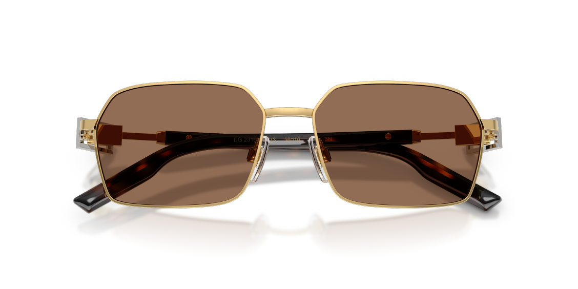 Солнцезащитные очки Dolce & Gabbana DG2316 02/73