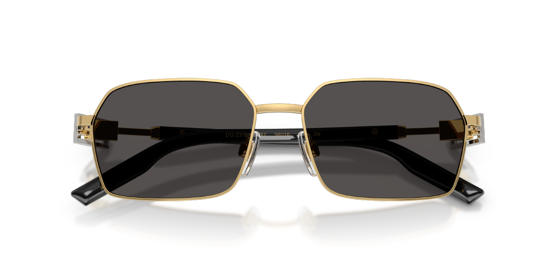 Солнцезащитные очки Dolce & Gabbana DG2316 02/87