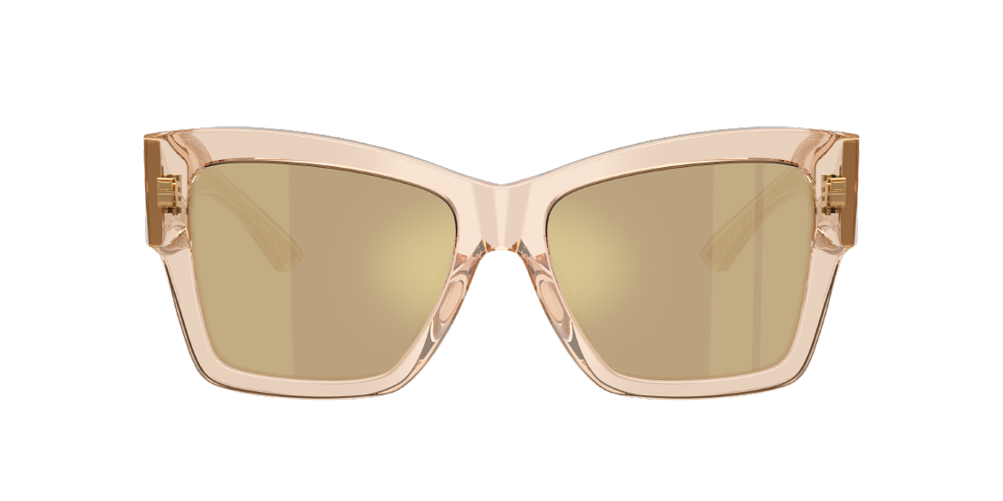 Солнцезащитные очки Dolce & Gabbana DG4493 343203