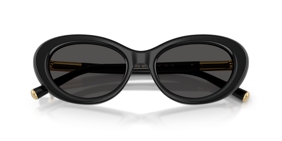 Солнцезащитные очки Dolce & Gabbana DG4519 501/87