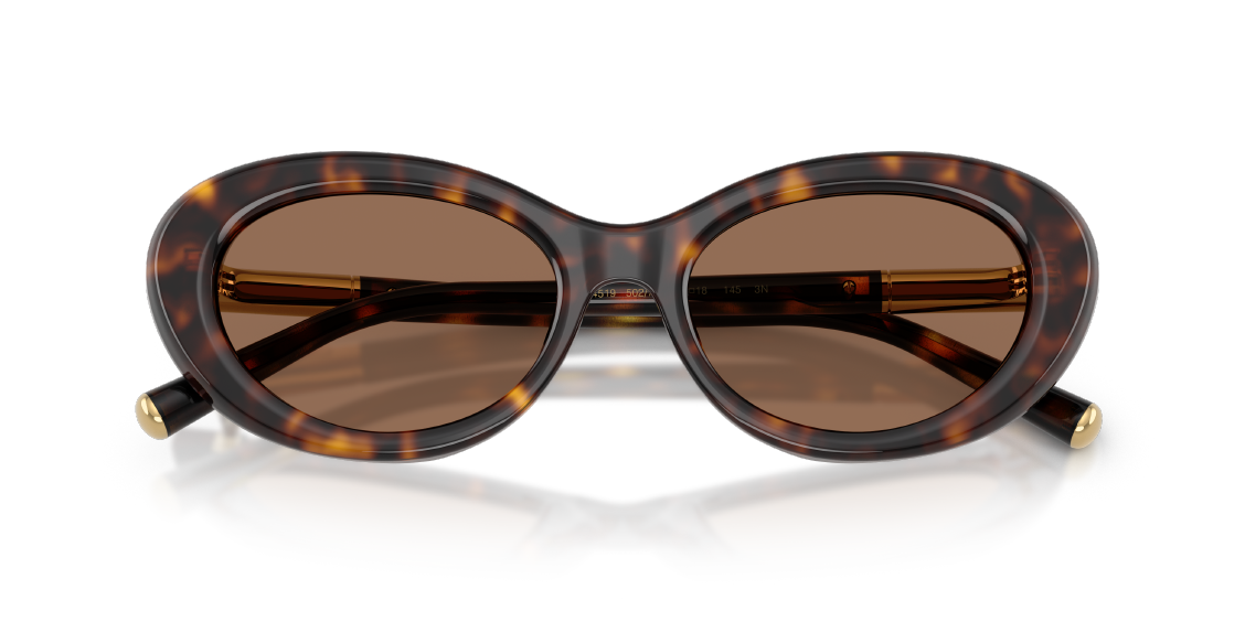 Солнцезащитные очки Dolce & Gabbana DG4519 502/73