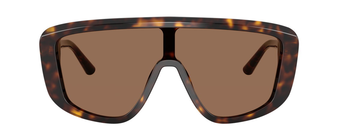 Солнцезащитные очки Dolce & Gabbana DG4520 502/73