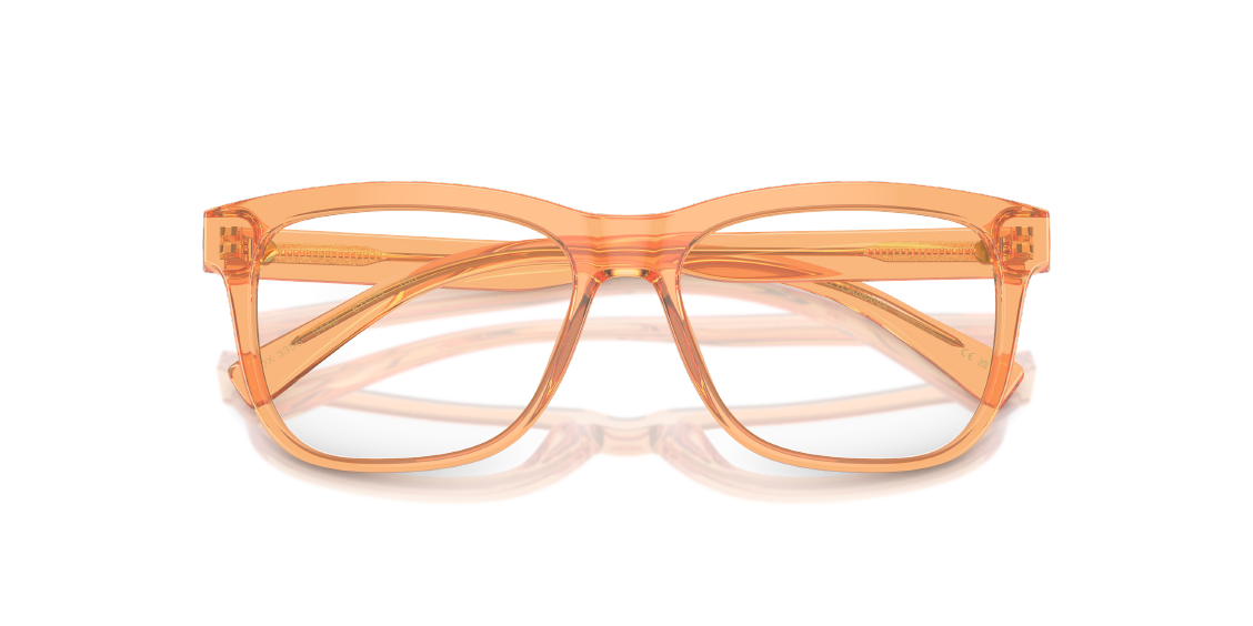 Оптическая оправа Dolce & Gabbana DX3356 3442