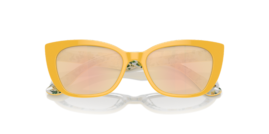 Солнцезащитные очки Dolce & Gabbana DX4427 34437J