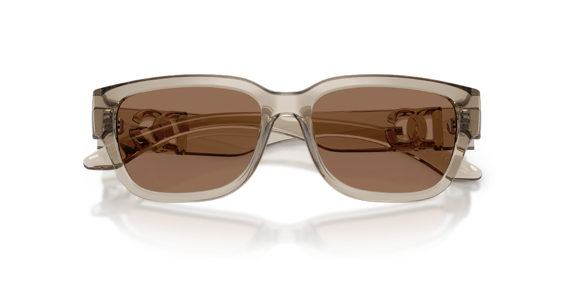 Солнцезащитные очки Dolce & Gabbana DX6009 329173