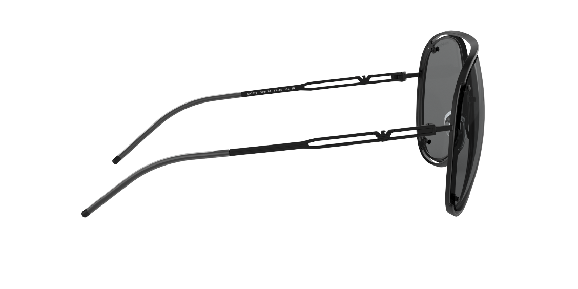 Солнцезащитные очки Emporio Armani EA2073 300187