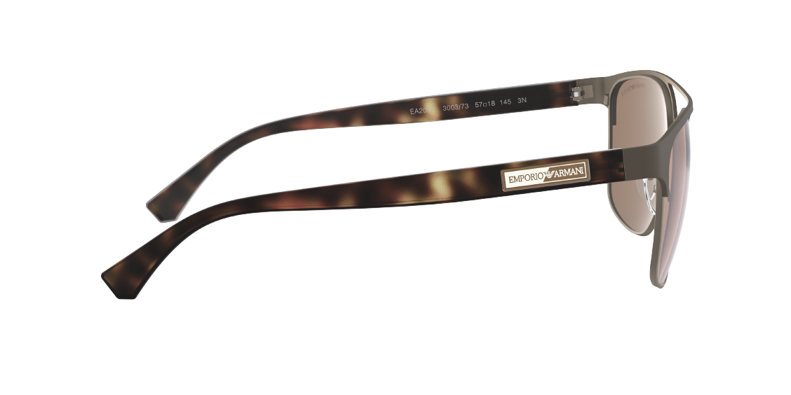 Солнцезащитные очки Emporio Armani EA2093 300373