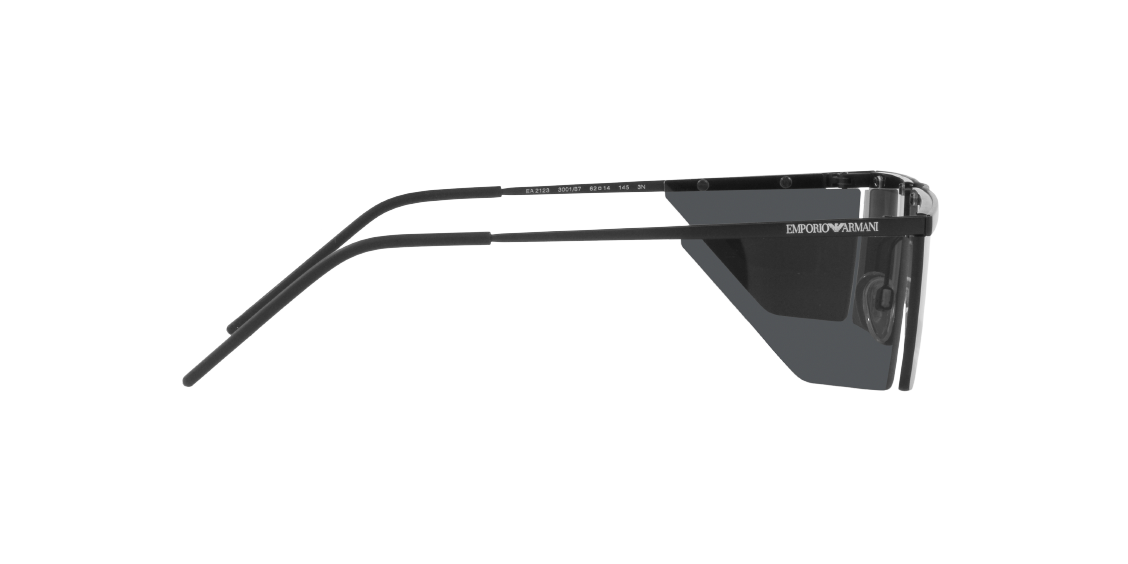 Солнцезащитные очки Emporio Armani EA2123 300187