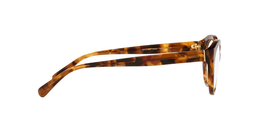 Оптическая оправа Emporio Armani EA3189 5825