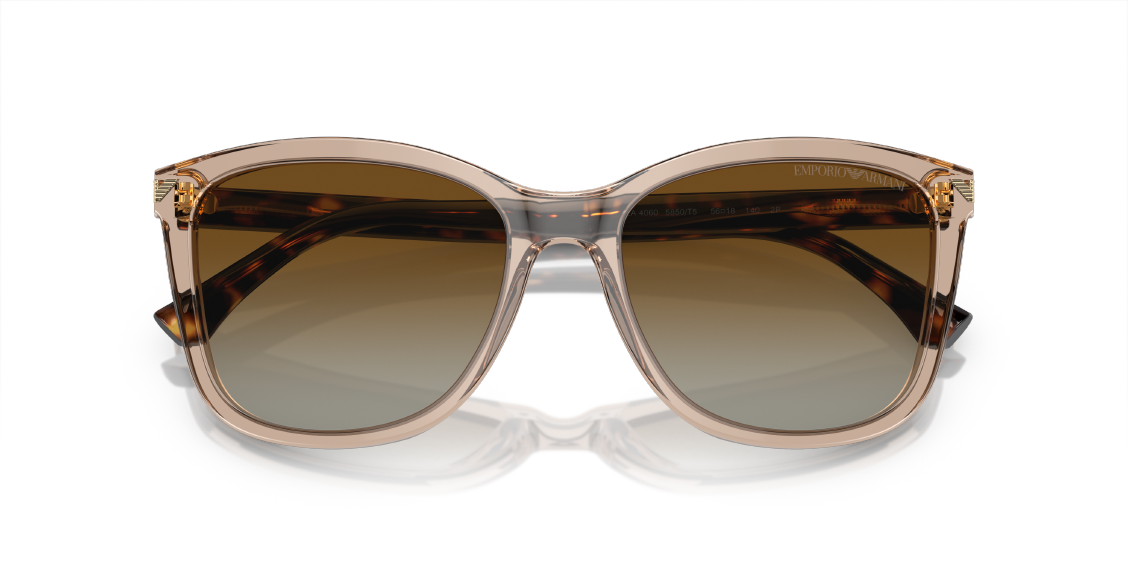 Солнцезащитные очки Emporio Armani EA4060 5850T5