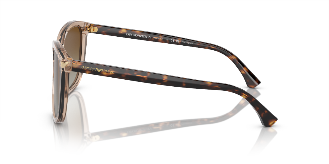 Солнцезащитные очки Emporio Armani EA4060 5850T5