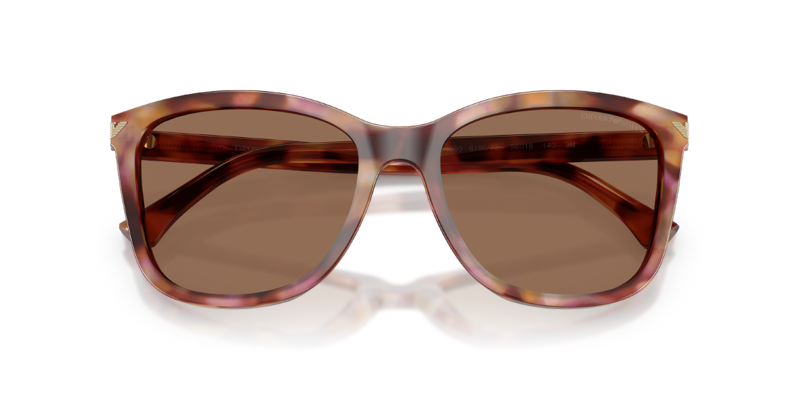 Солнцезащитные очки Emporio Armani EA4060 619673