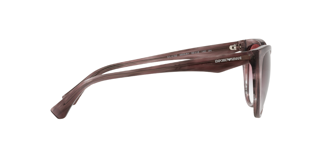 Солнцезащитные очки Emporio Armani EA4162 58858H